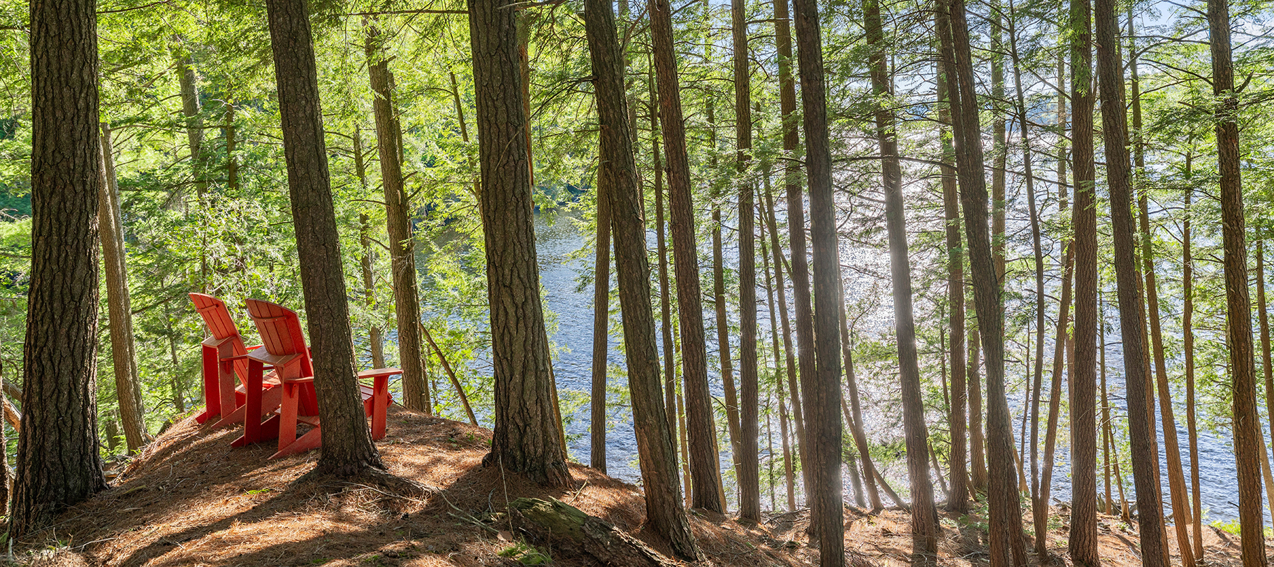 A Private Forest to