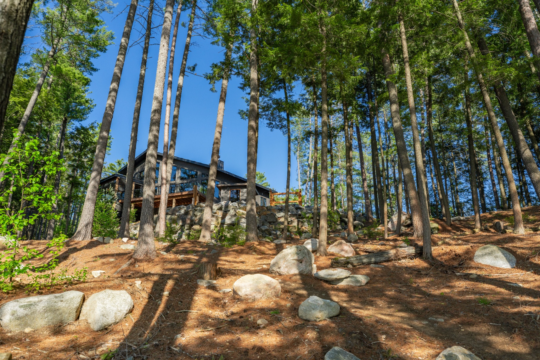 Long forest view up toward the house on the granite ridge