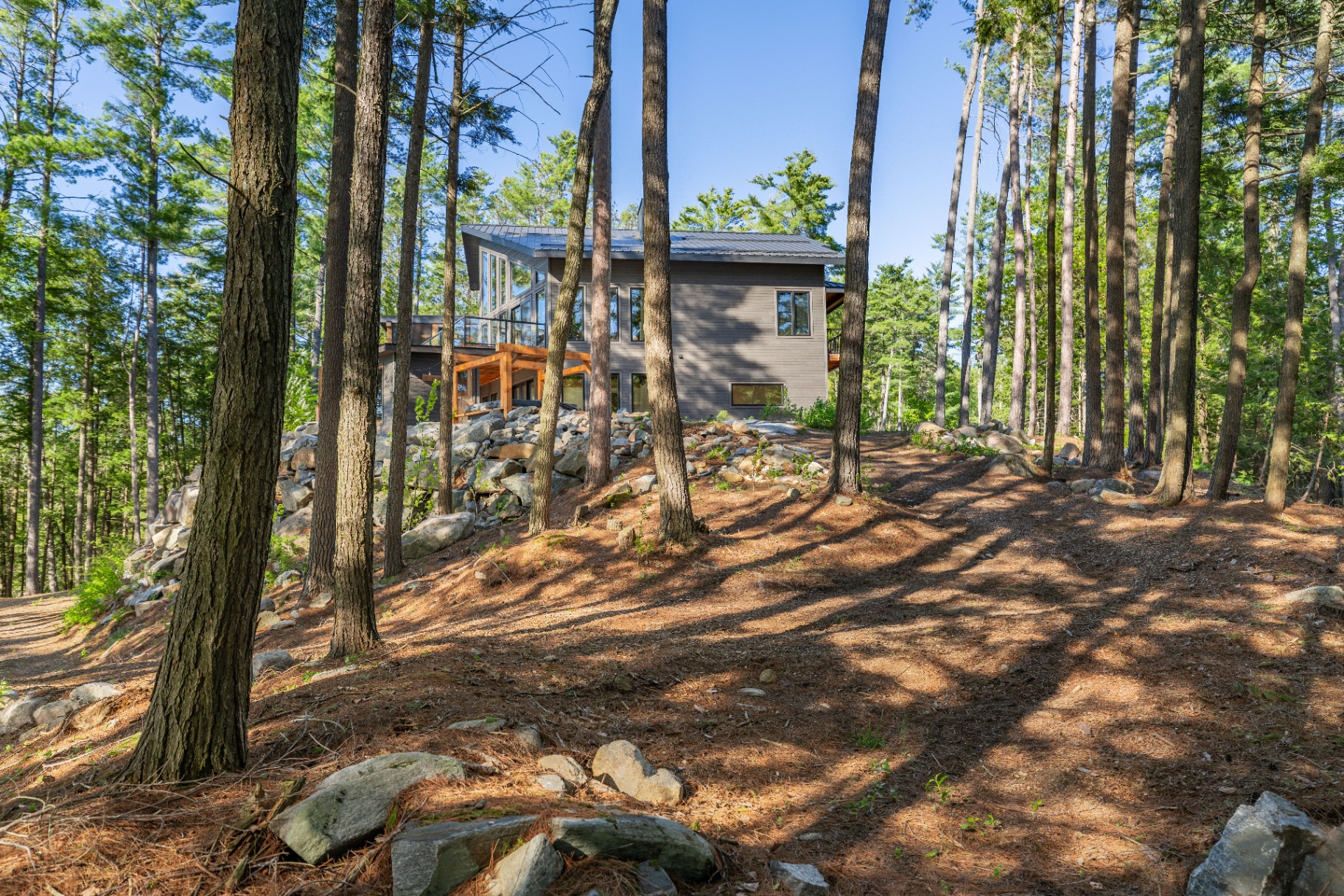 Forest approach to the home with rocky landscape and modern exterior