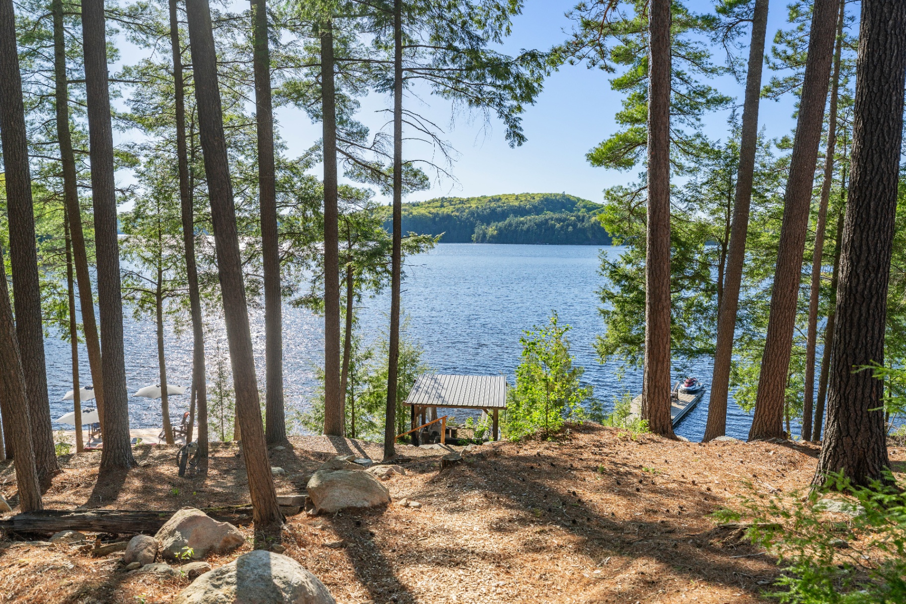 View through the trees down to the dock and open lake