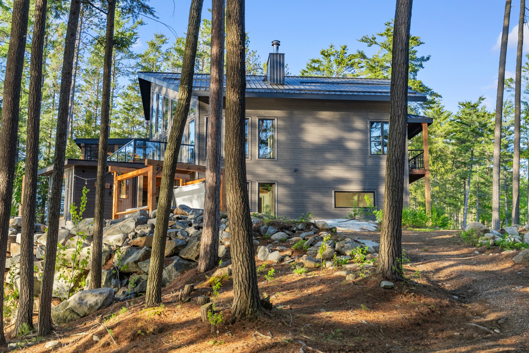 Modern lakeside exterior seen through tall pines along the forest path