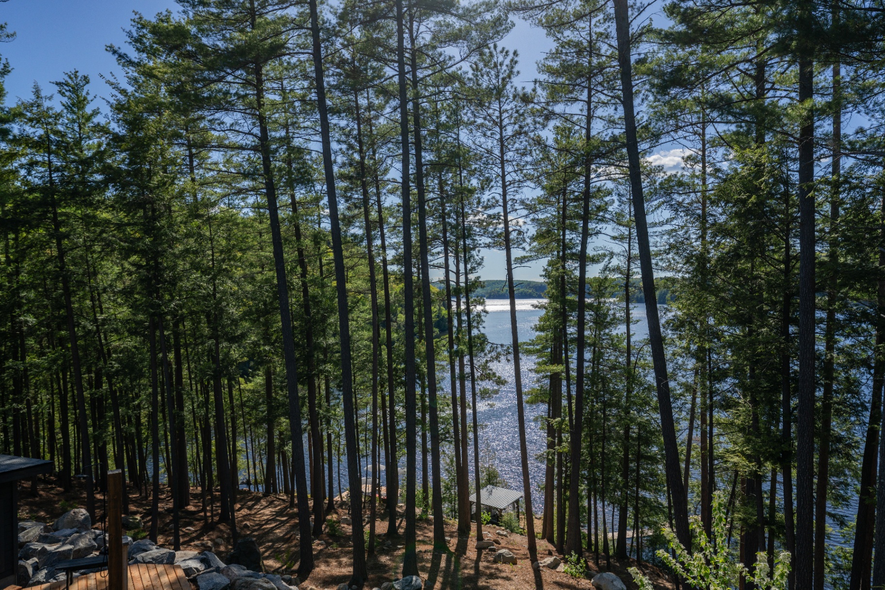 View down through the trees toward the shoreline and dock