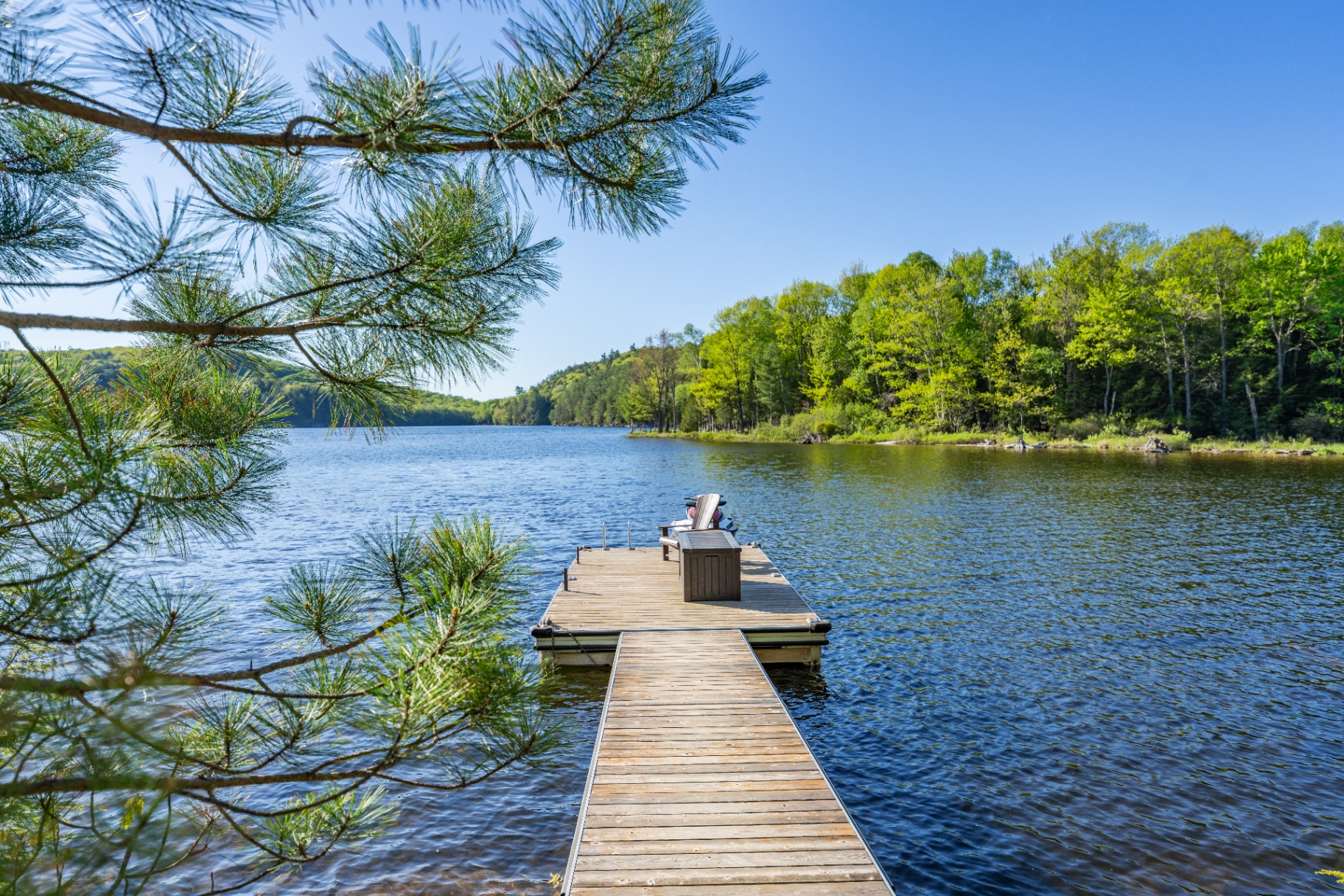 Pine-framed view down the dock to calm water and distant tree line