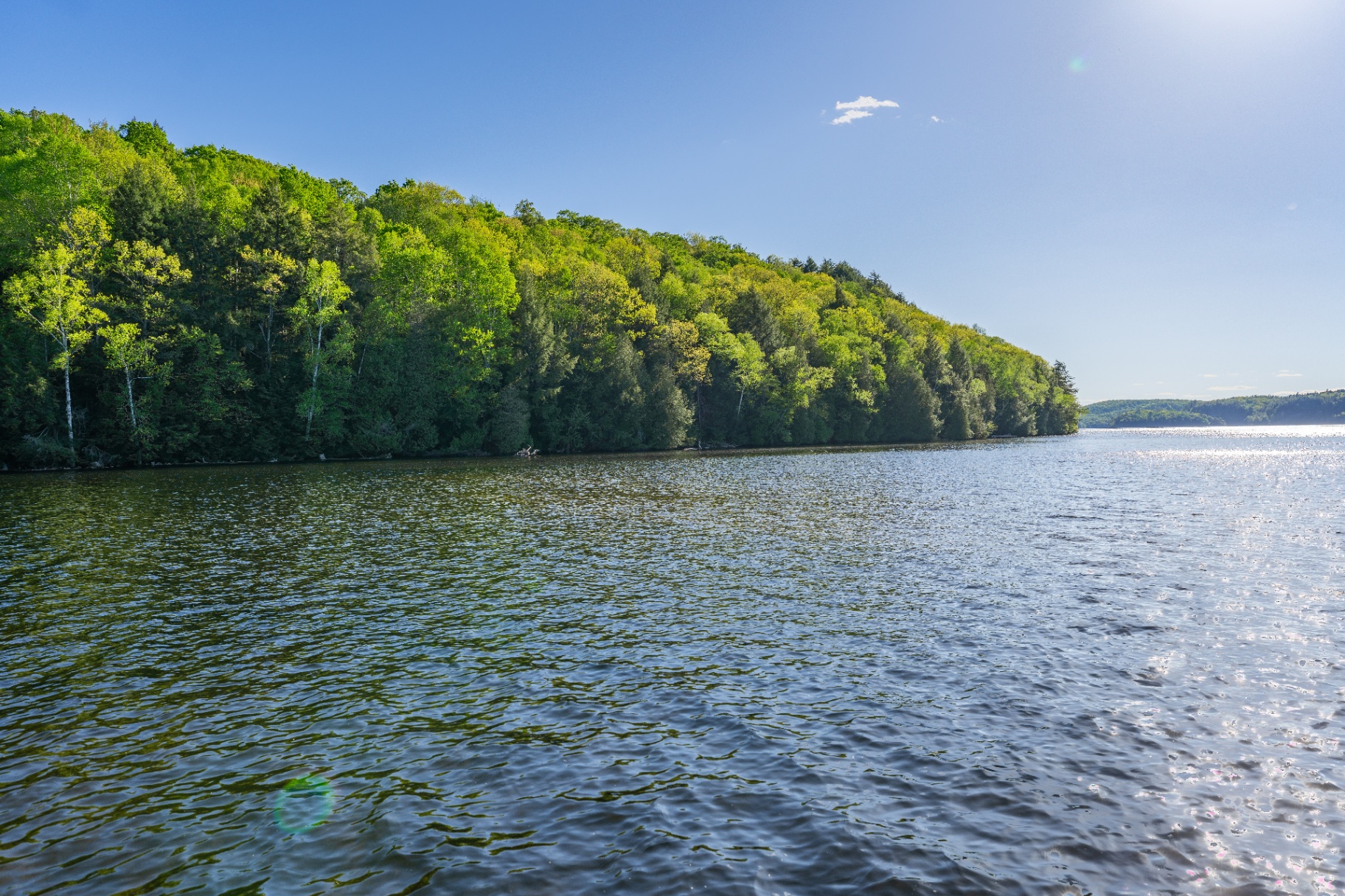 Wide open lake view with forested hillside rolling down to the water