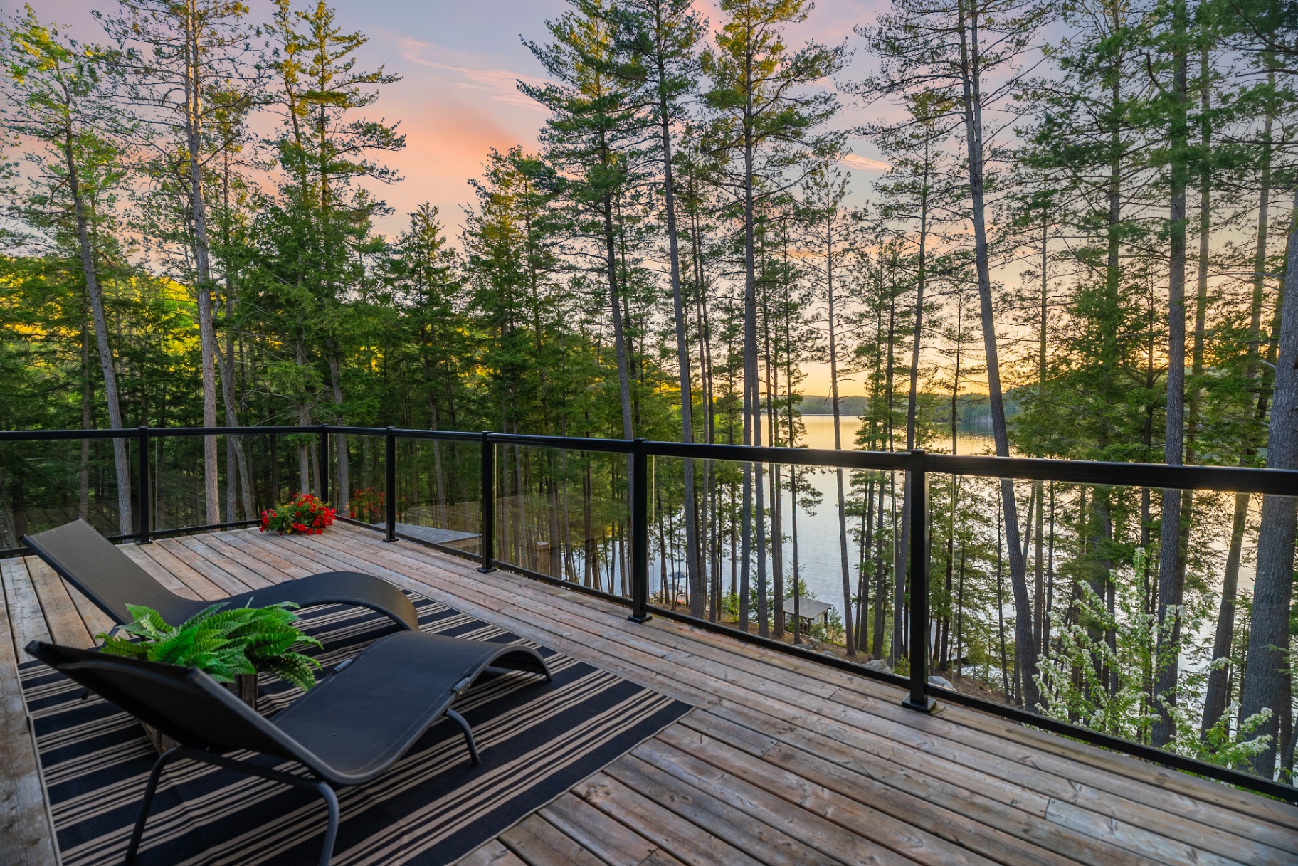 Lake view from the upper deck through tall pines at twilight