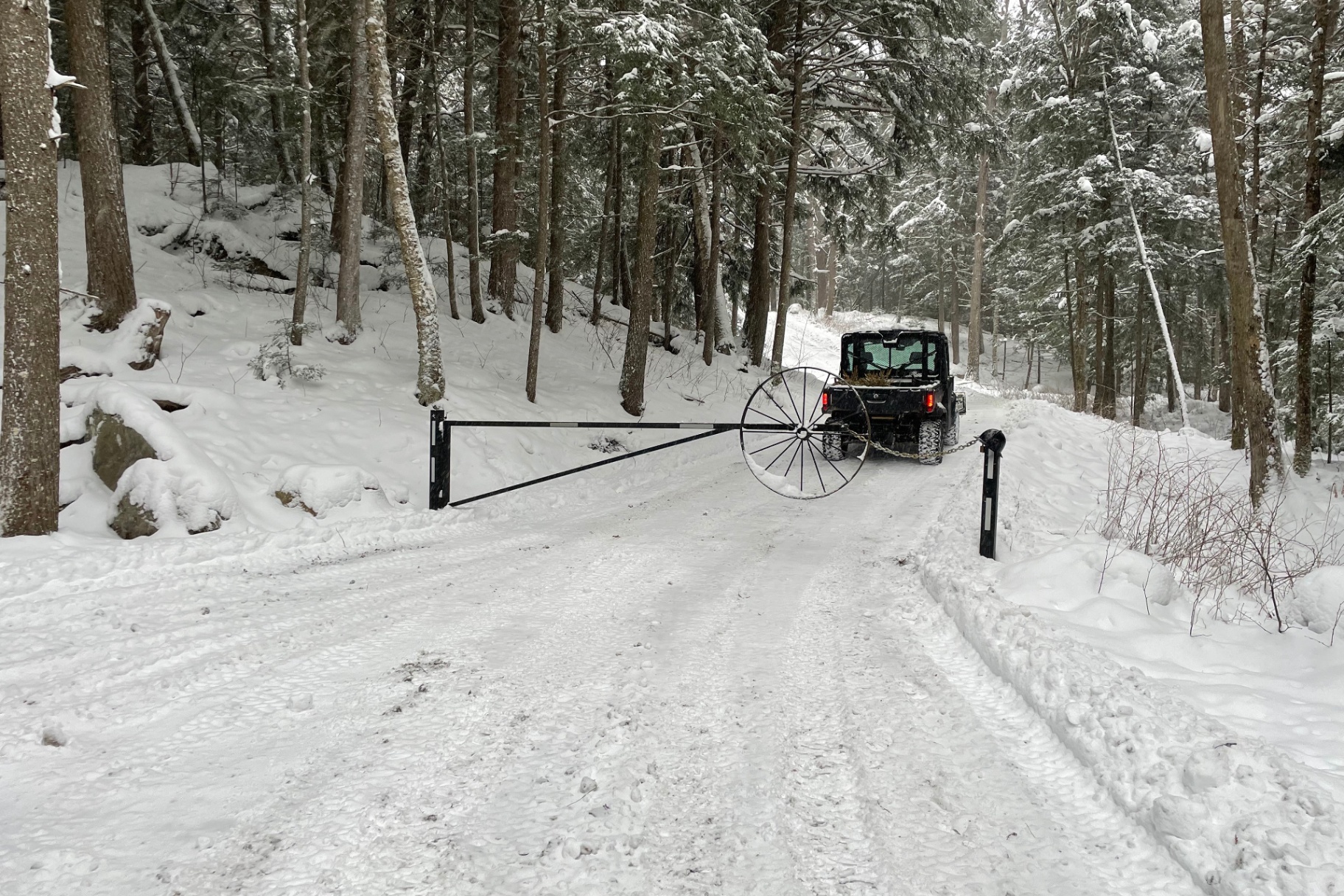 Side-by-side at the snowy gated forest entrance after a fresh snowfall
