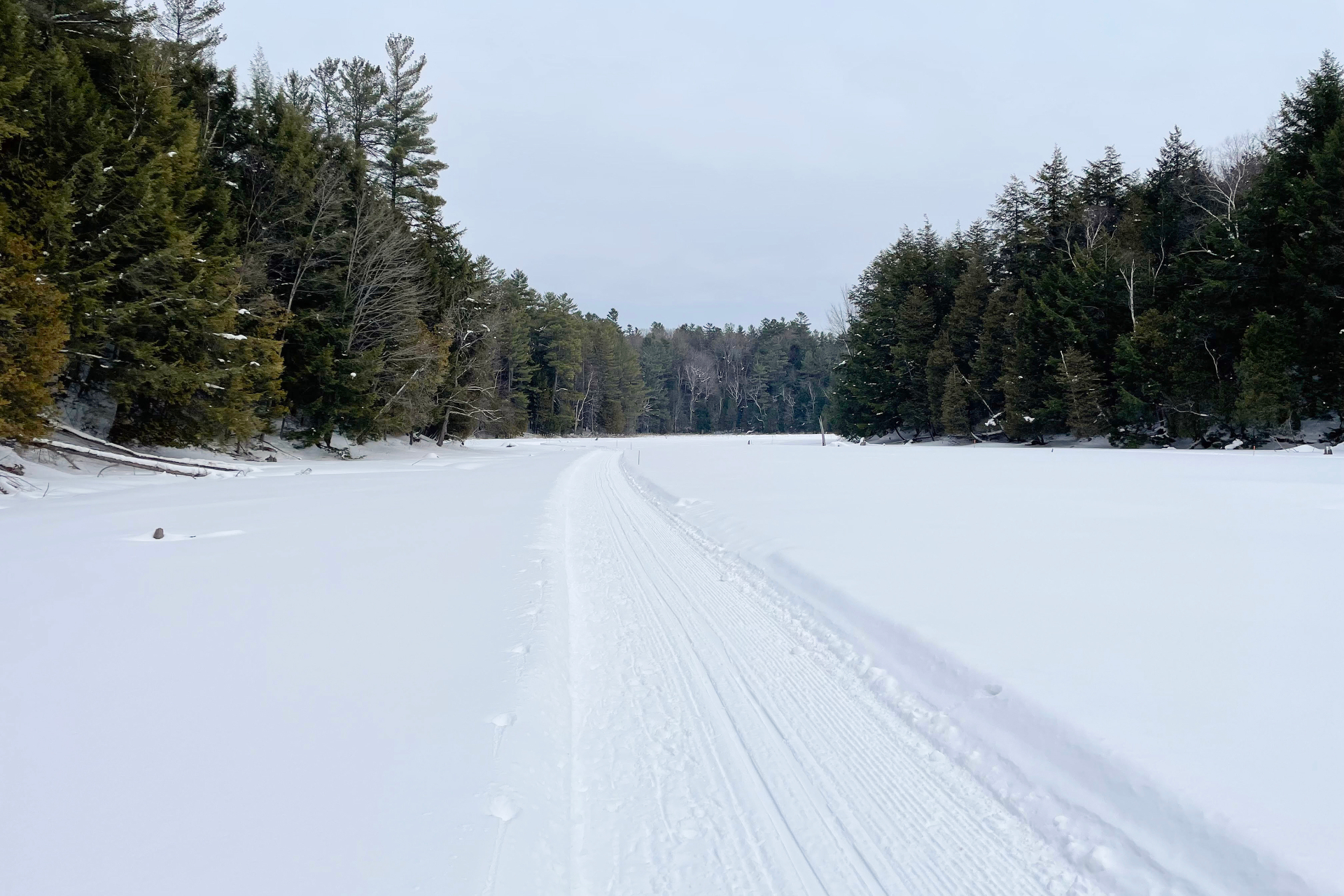 Groomed cross-country ski trail across the frozen lake lined with snow-dusted pines