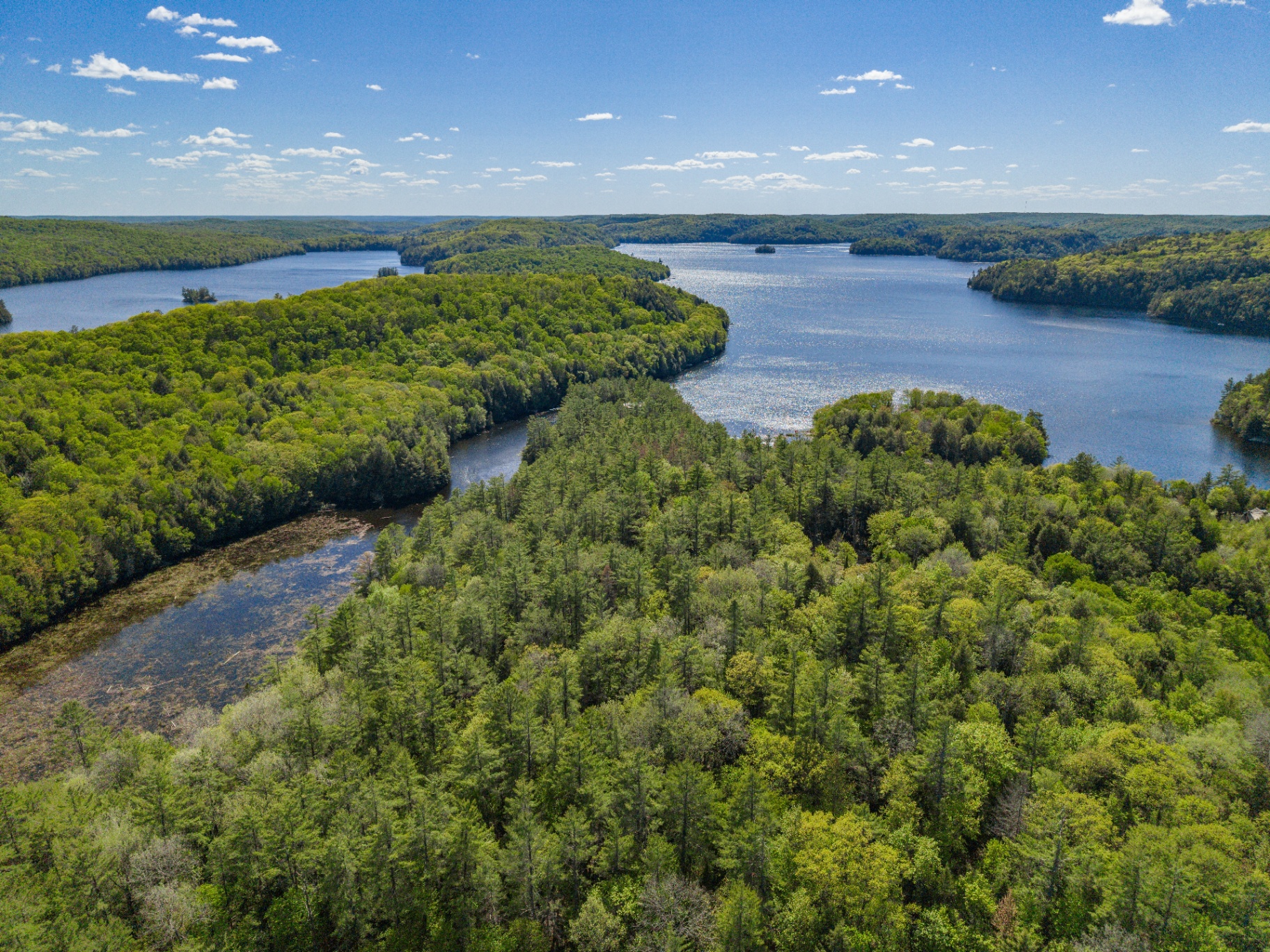Wide aerial panorama of Redstone Lake and the forested shoreline beyond the property