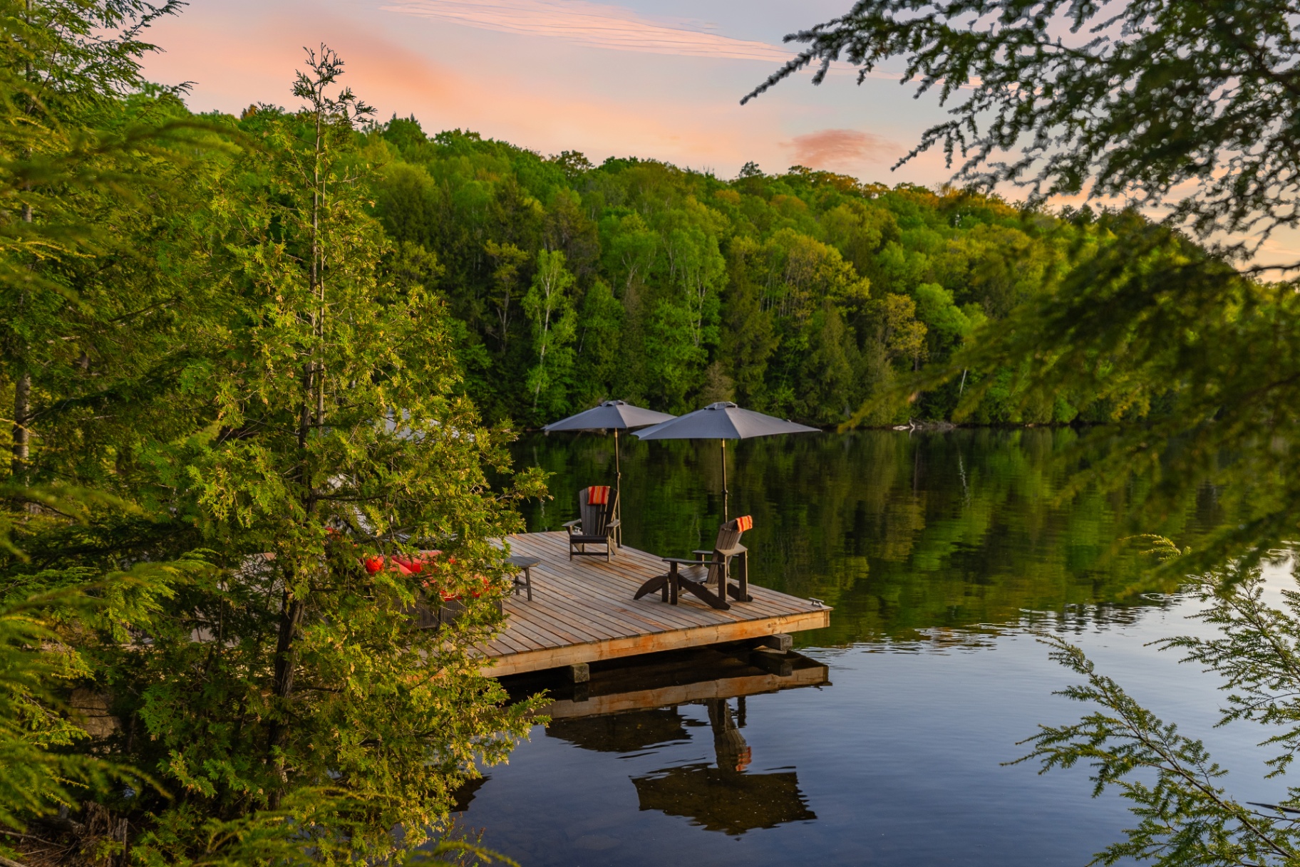 Secluded dock with paired umbrellas and Adirondack chairs framed by cedar branches at sunset