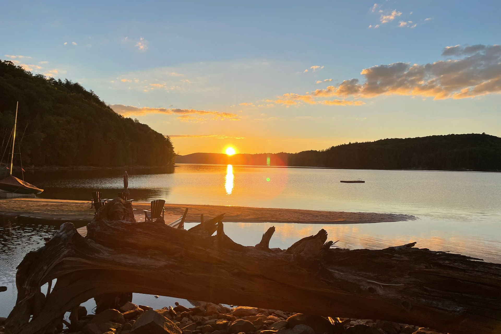 Golden sunset over the lake framed by a massive driftwood root on the beach